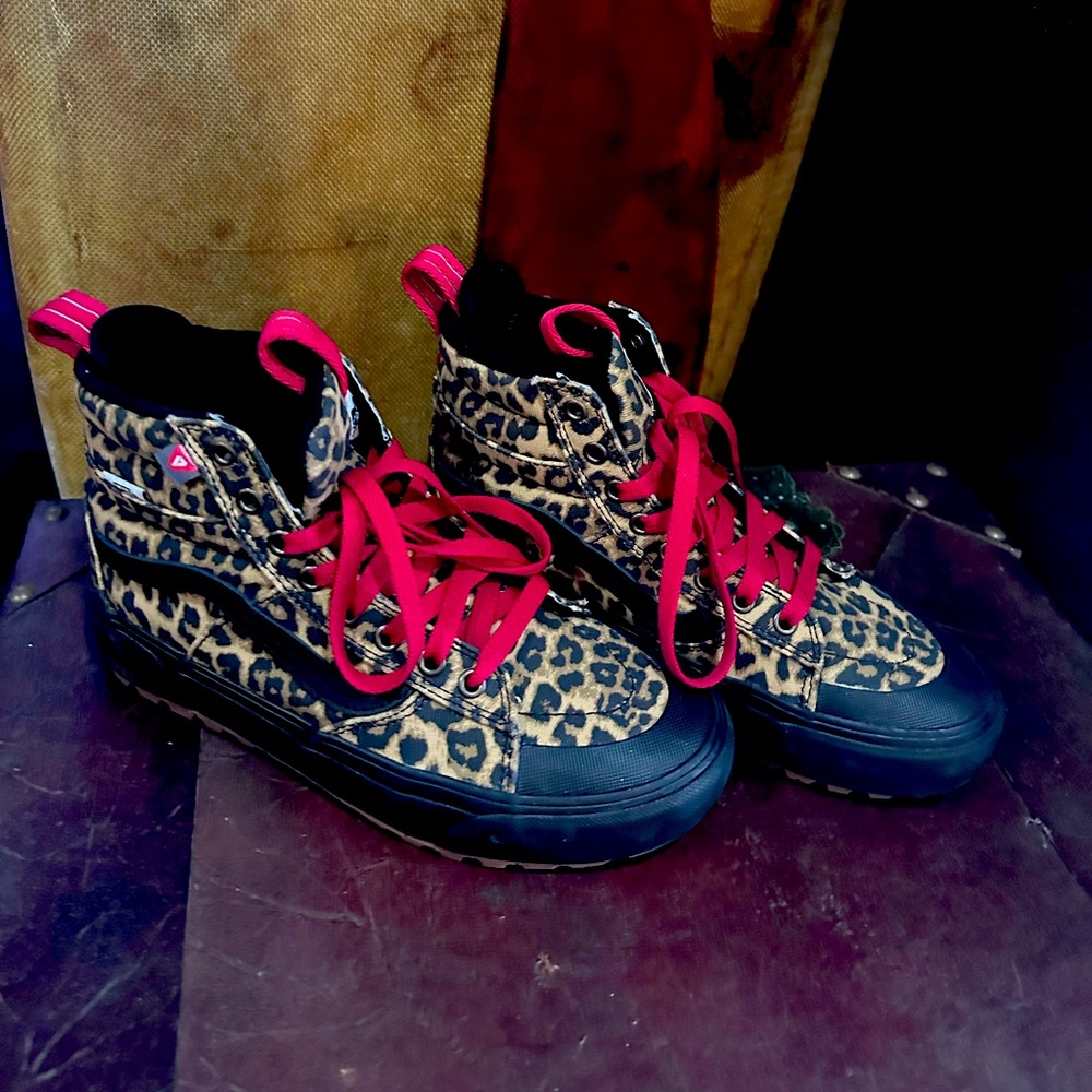 Custom Mte vans